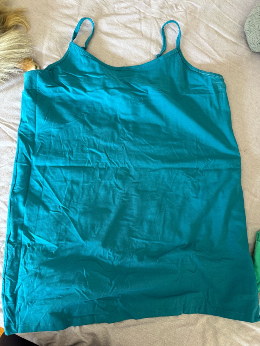 torrid Blue Camisole